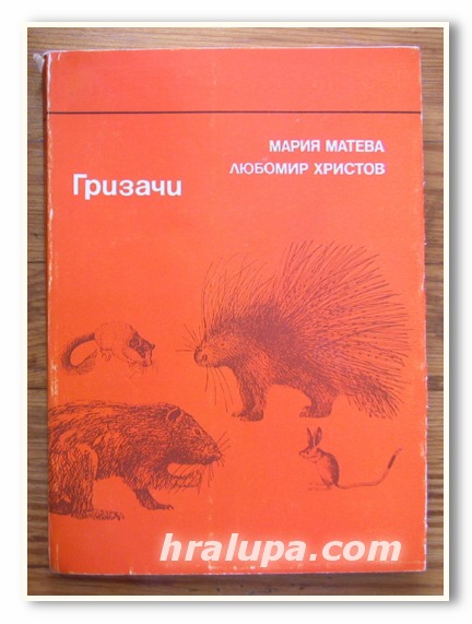 ГРИЗАЧИ, МАРИЯ МАТЕВА, ЛЮБОМИР ХРИСТОВ, 1980 ГОДИНА